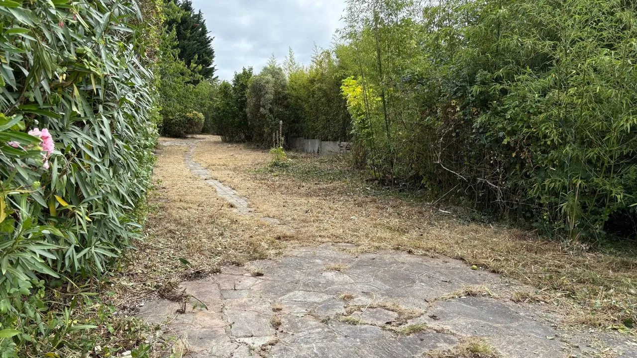 Débroussaillage à Couëron