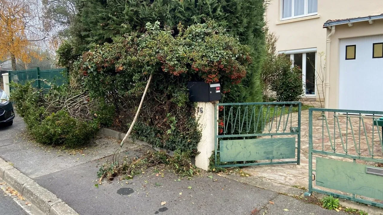 Dessouchement pose de cloture à Couëron